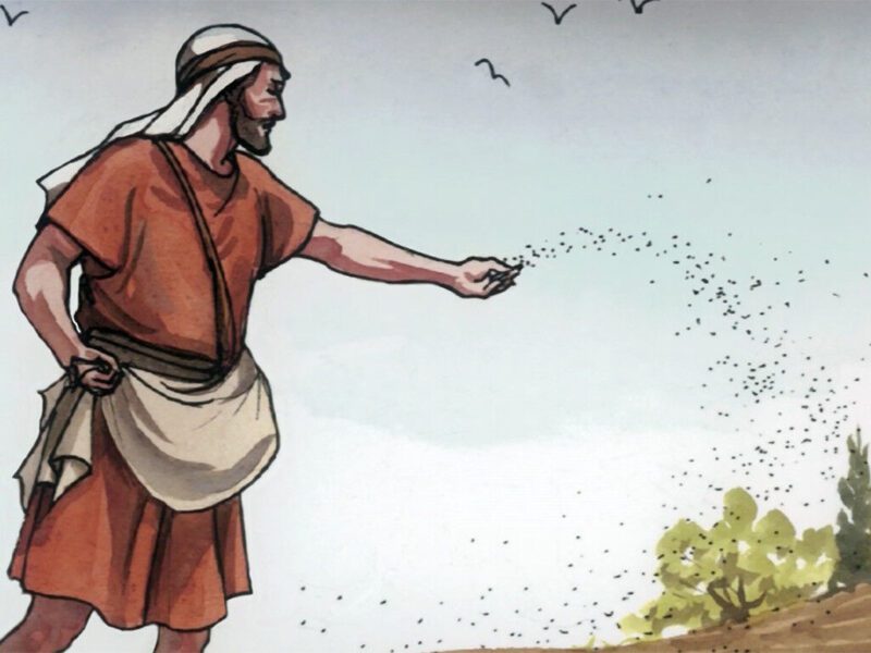 God’s Word & The Sower